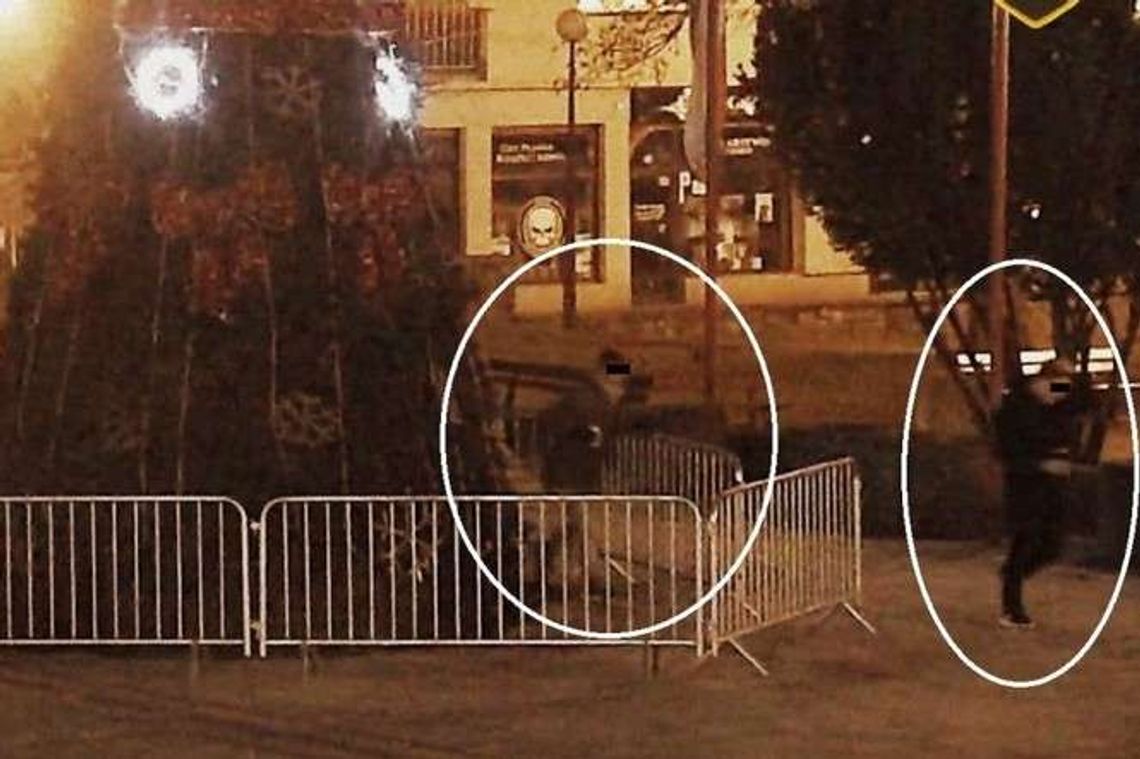 Sylwestrową zabawę skończyli na komendzie. Weszli do choinki i zniszczyli światełka