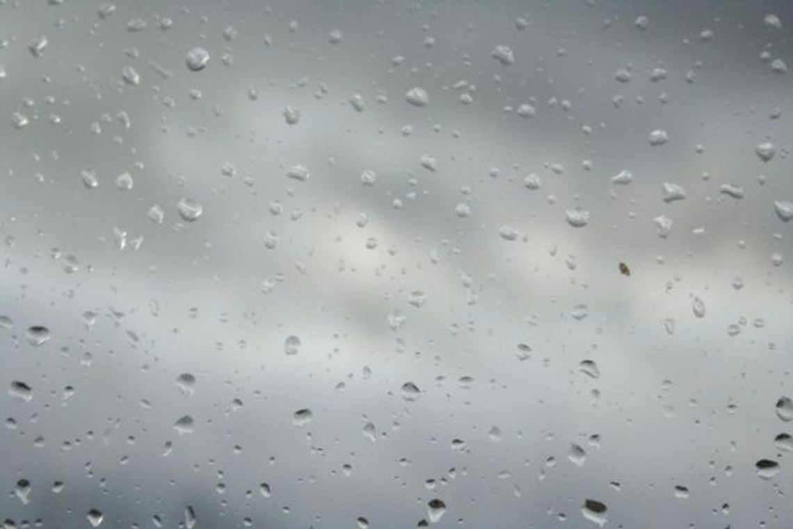 Synoptycy: Będzie wiało w woj. lubelskim, nawet 80 km/h Synoptycy: Będzie wiało w woj. lubelskim, nawet 80 km/h