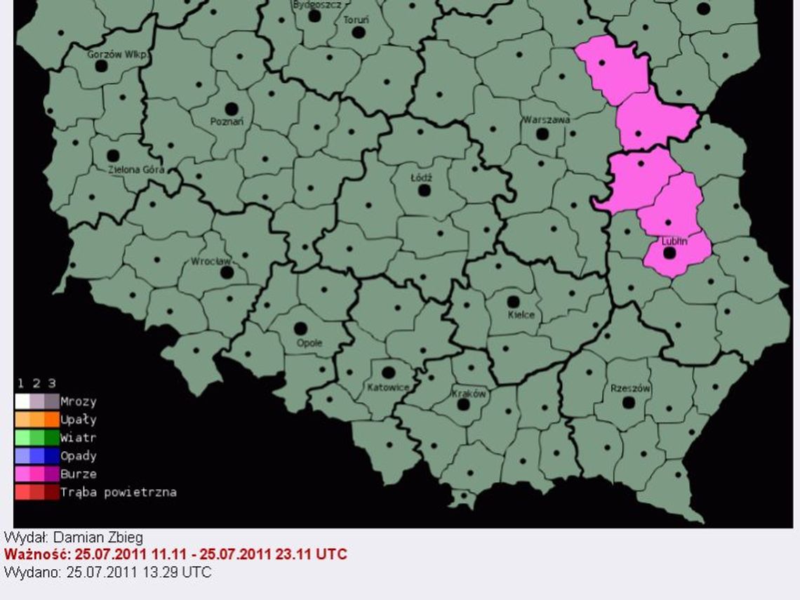 Synoptycy: Burze i silny wiatr w woj. lubelskim