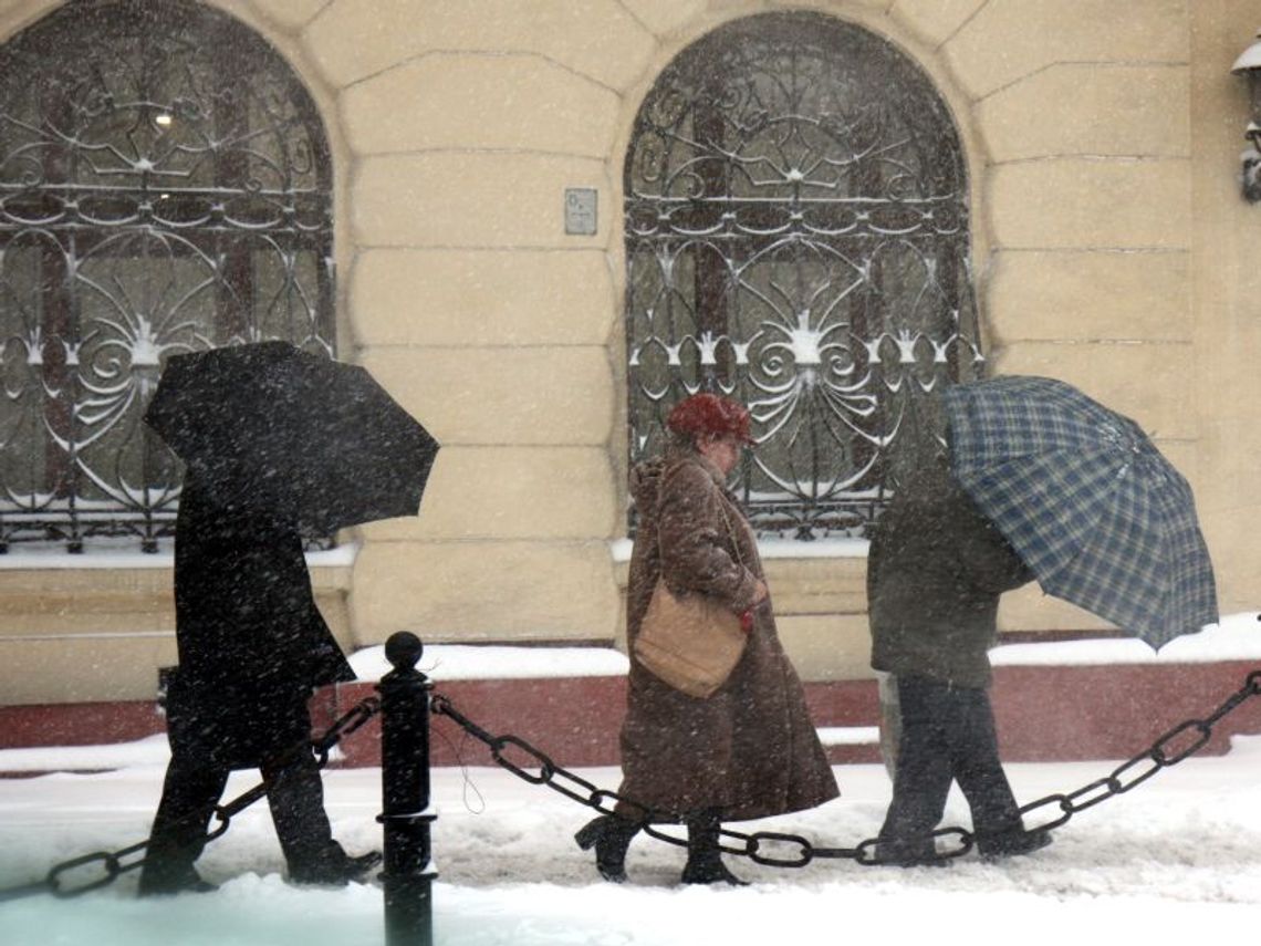 Synoptycy: Mroźny luty, ale wiosna już w marcu