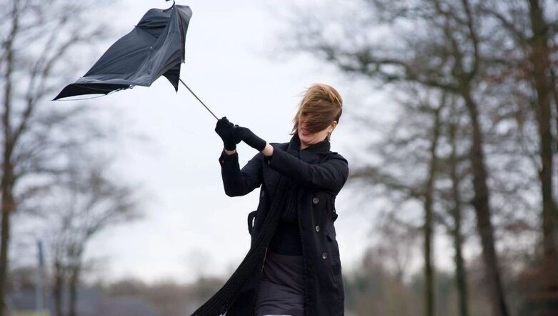 Synoptycy ostrzegają. Porywy wiatru do 70 km/h 