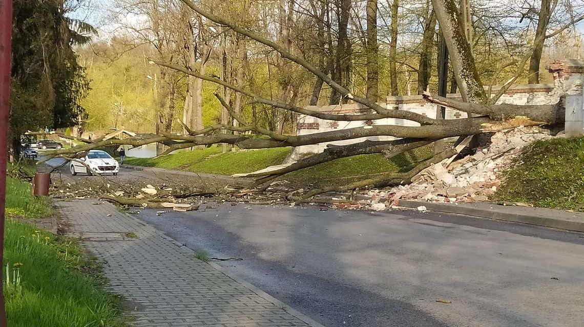Synoptycy ostrzegają: Porywy wiatru do 80 km/h jeszcze przez kilka godzin