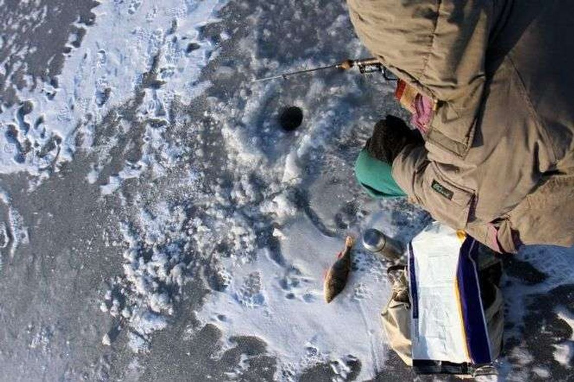 Synoptycy ostrzegają przed silnym mrozem. Gdzie było najzimniej?