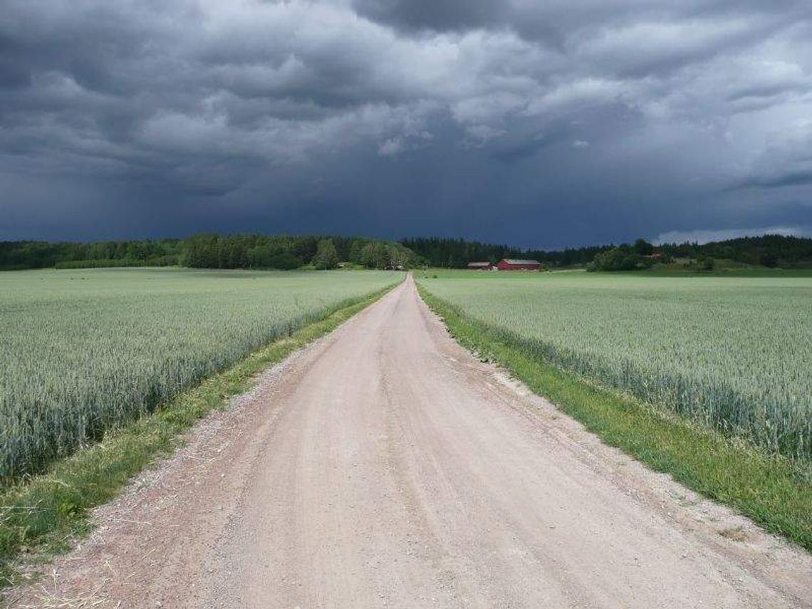 Synoptycy ostrzegają: Silne burze z gradem w woj. lubelskim