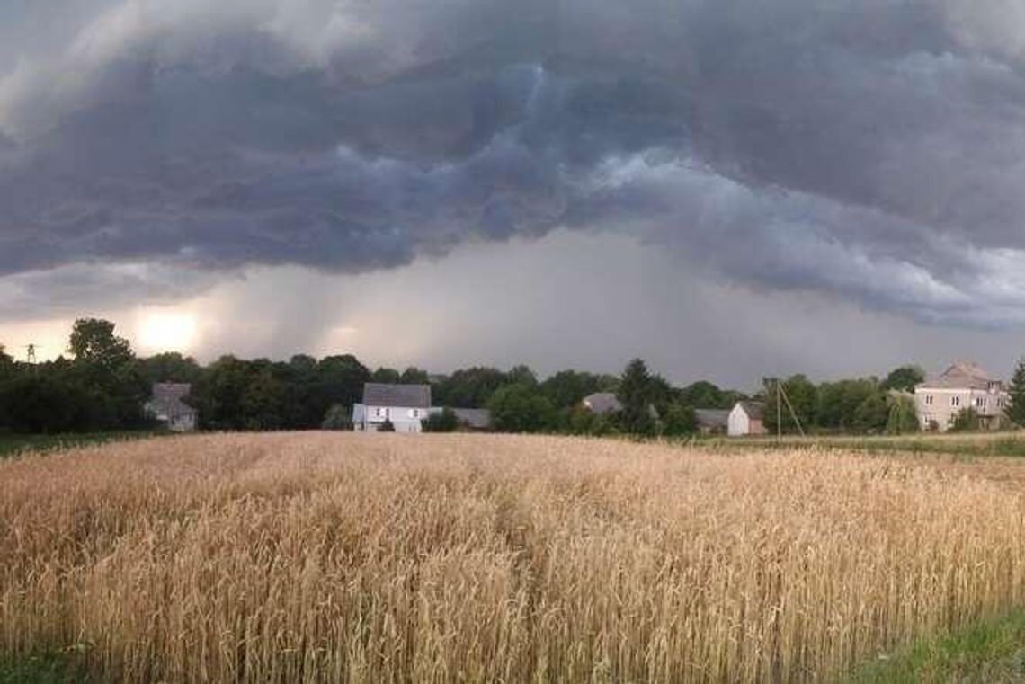 Synoptycy: W Lubelskiem burze i deszcz, mocno powieje