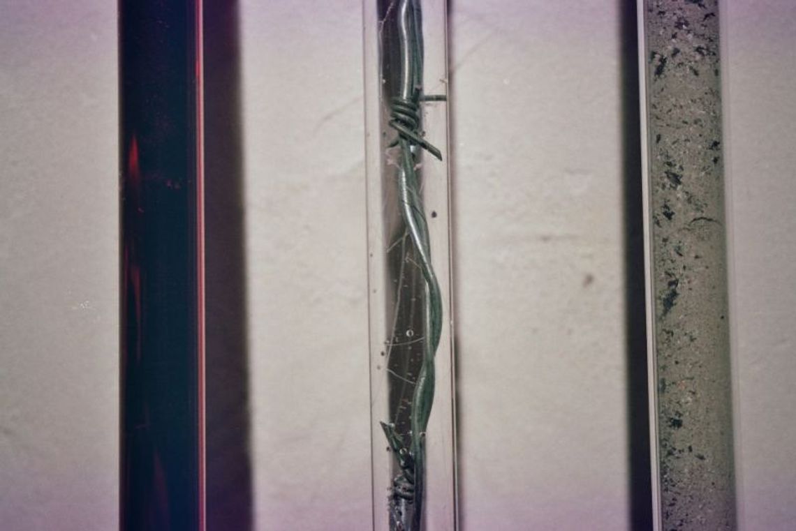 „Syte Lwy”  Łukasza Głowackiego