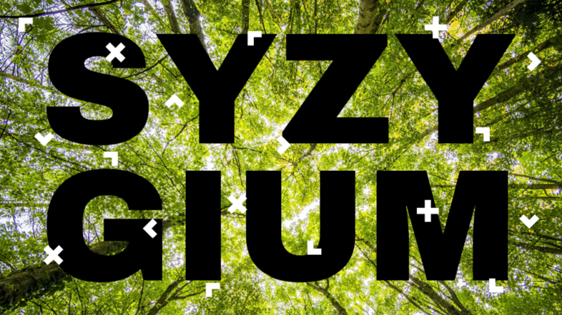 Syzygium - interwencja choreograficzna na placu Litewskim
