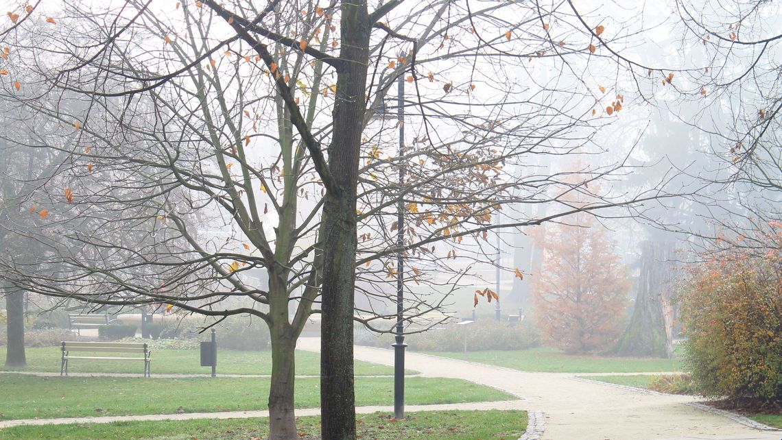 Szansa na nowe alejki i więcej zieleni na skwerze Szansa na nowe alejki i więcej zieleni na skwerze