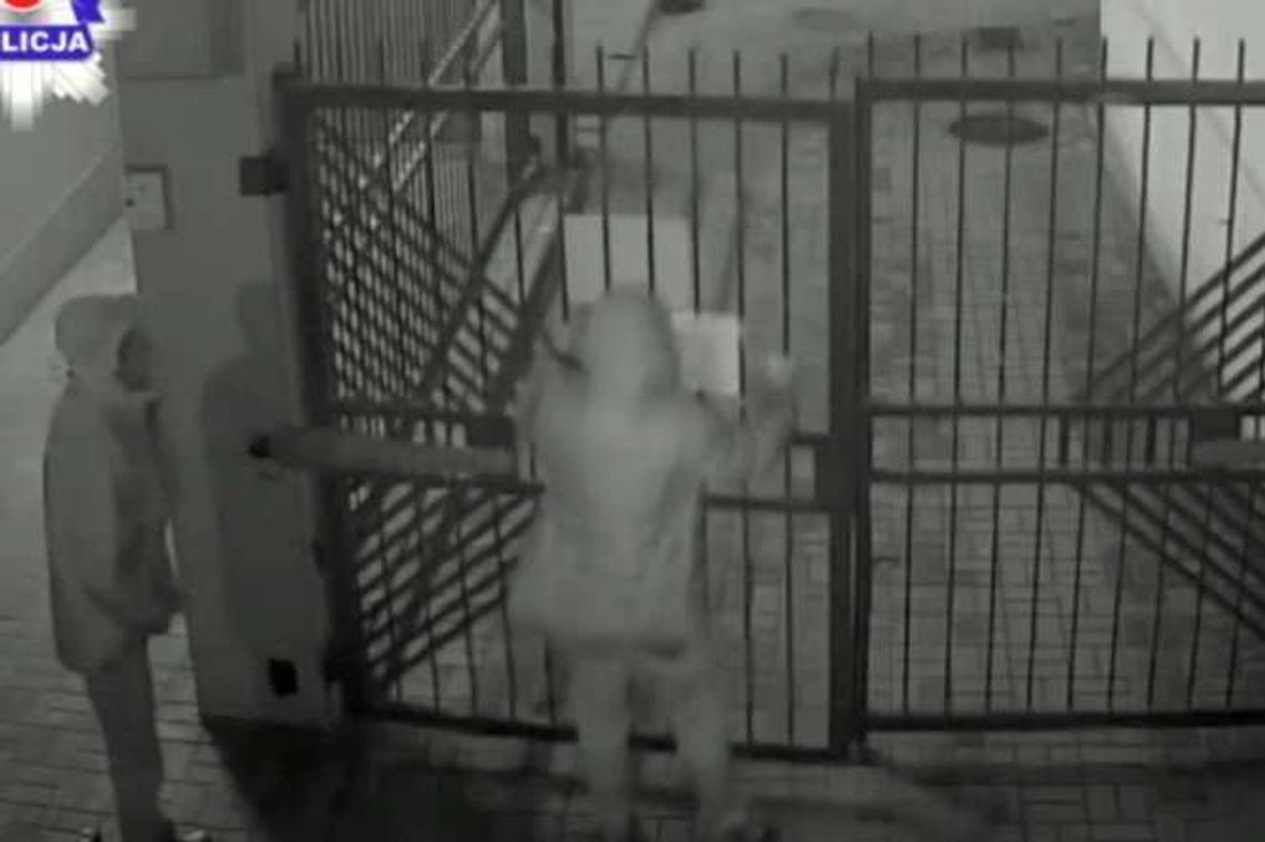 Szarpali, kopali i uszkodzili bramę. Kto rozpoznaje wandali?