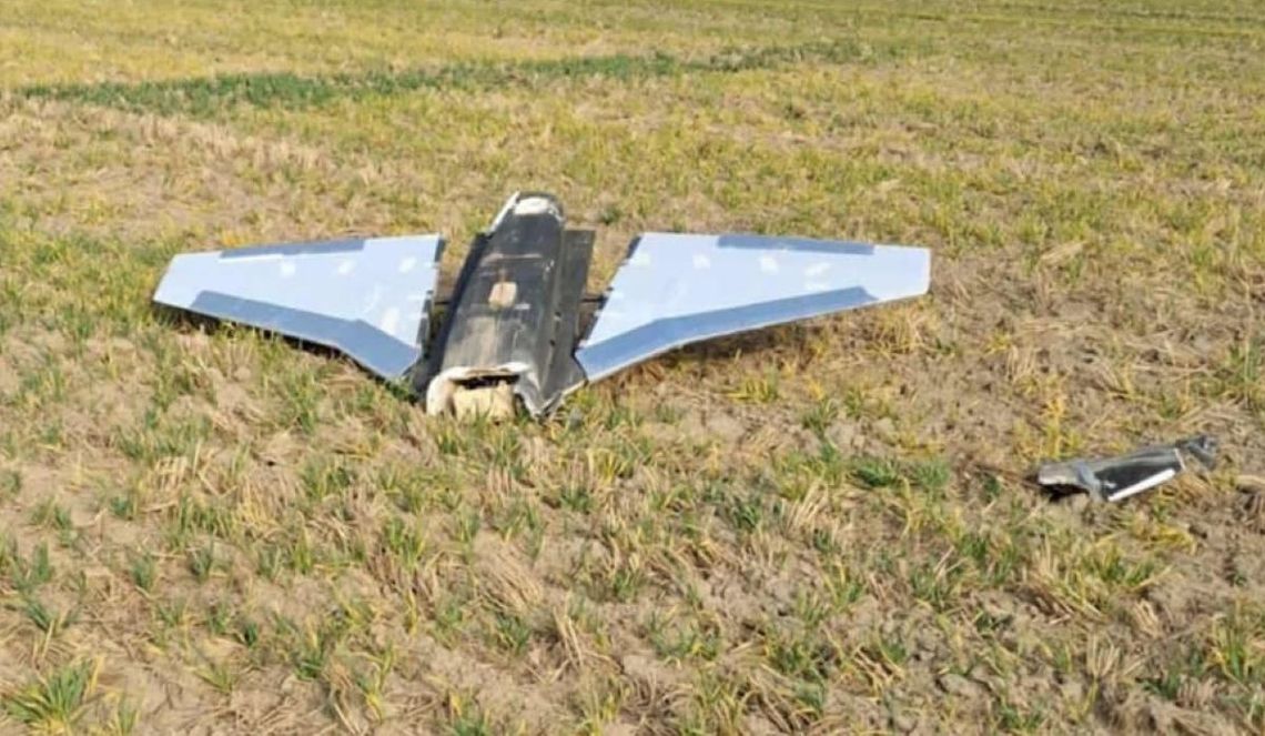 Szczątki obiektu znalezione w lesie pod Radzyniem to prawdopodobnie wabik Szczątki obiektu znalezione w lesie pod Radzyniem to prawdopodobnie wabik