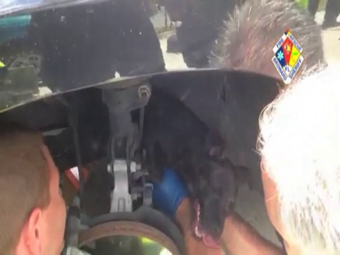 Szczeniak utknął pod maską auta. Przejechał kilkanaście kilometrów (wideo)
