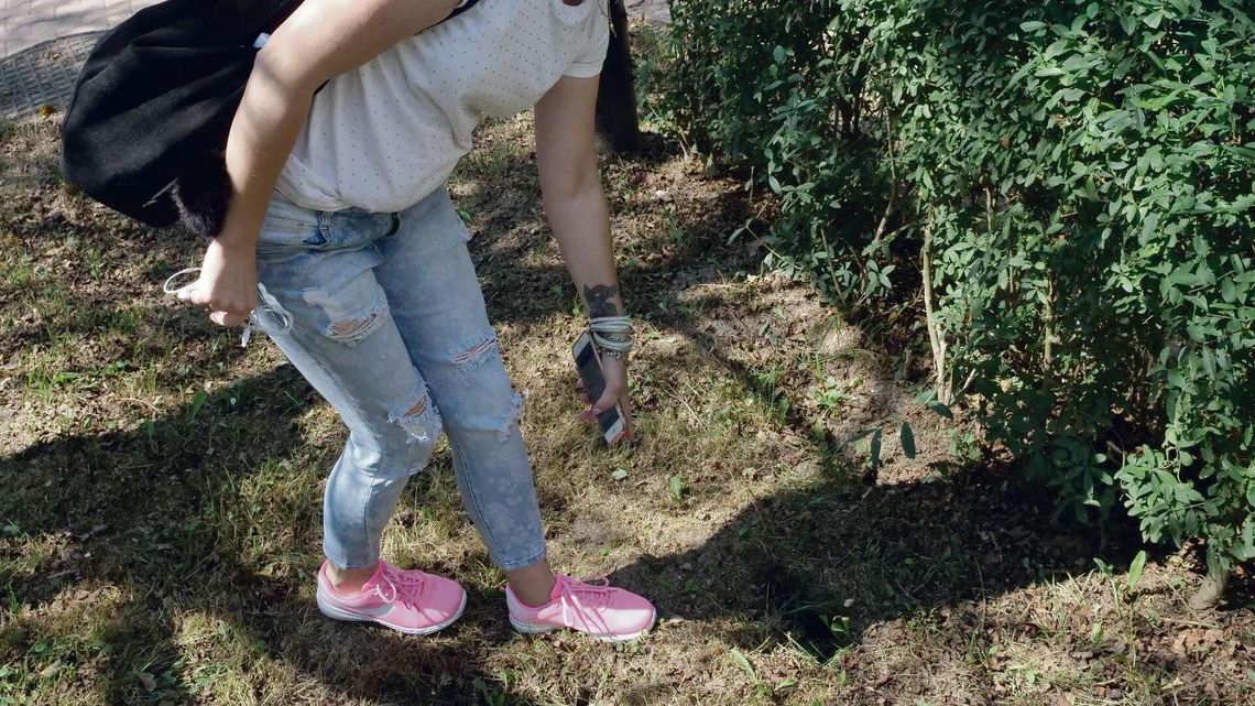 Szczury na nowych osiedlach w Lublinie. "Zgłoszenia z całego miasta"
