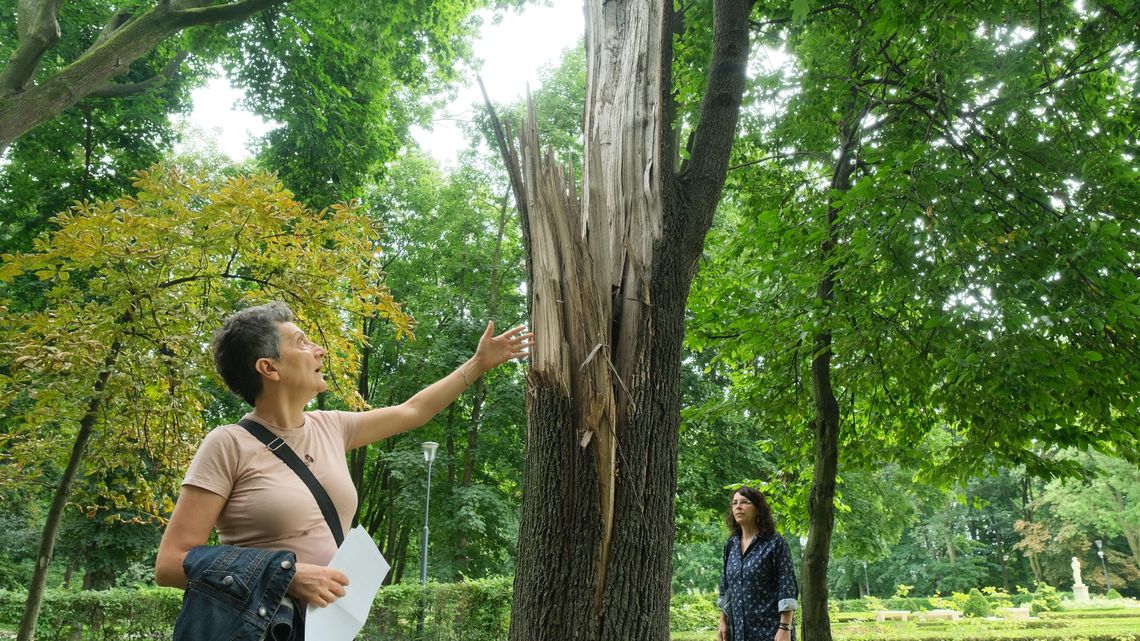 "Szczytem partactwa jest staw". Masa niedoróbek po remoncie parku w Lubartowie za 11 mln zł