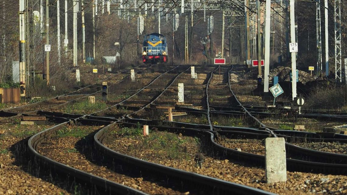 Szef PiS w Lublinie zmienia pracę. "Na pewno nie wiąże się to ze sprawami wyborczym"