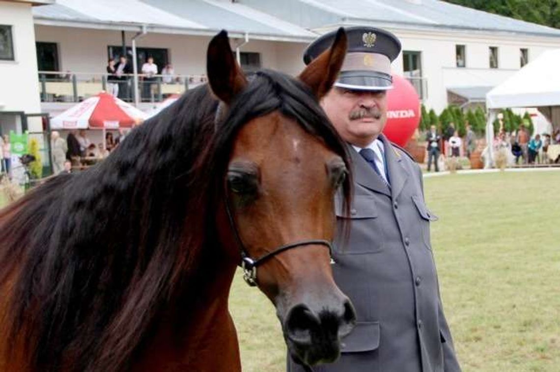 Szejk z Kataru chce zatrudnić odwołanych prezesów stadnin
