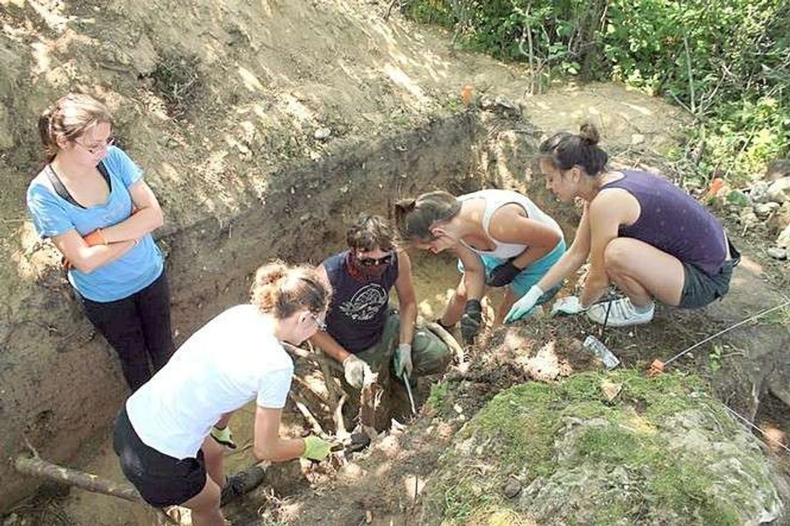 Szkielet, który „przemówił”. Historia pewnego weterynarza