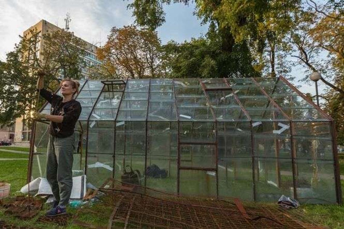 Szklarnia w centrum Lublina. O co chodzi?