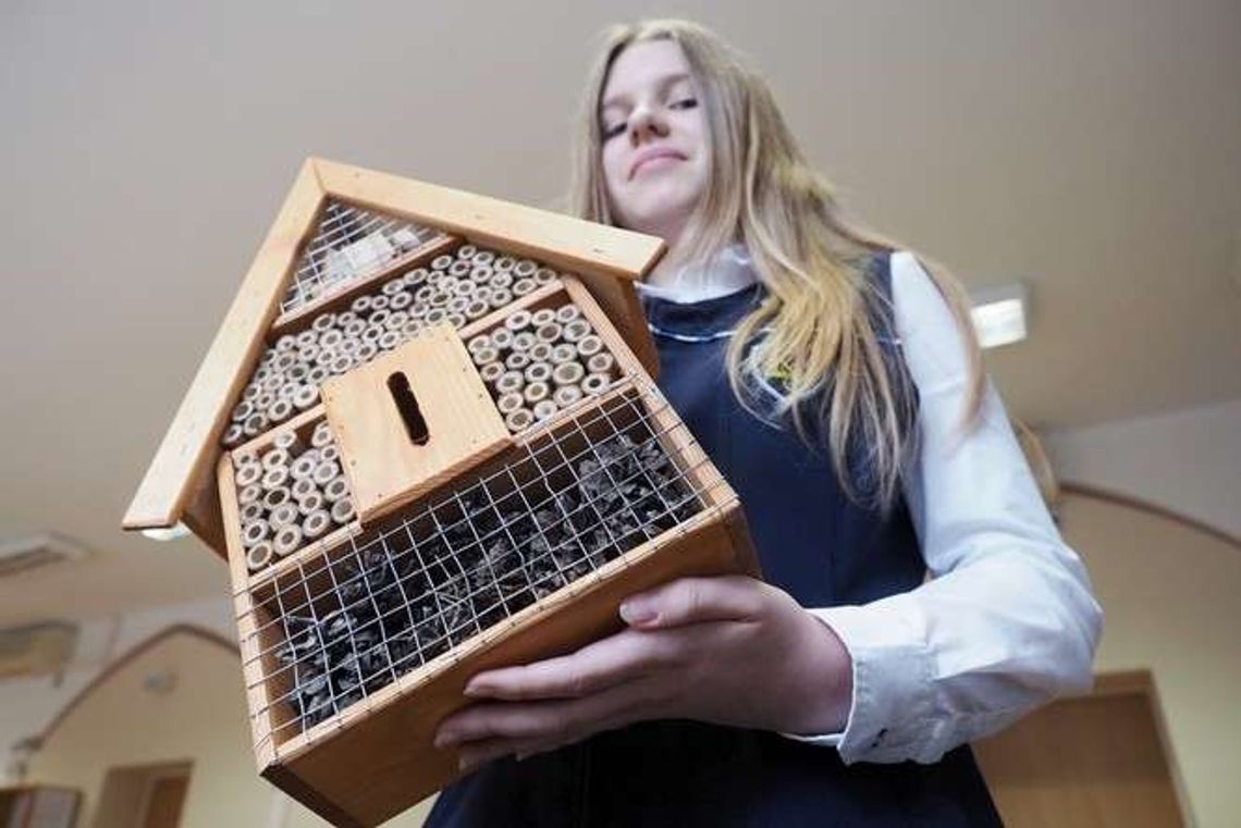 Szkoły przyjazne pszczołom w Lublinie. Dostają hotele dla owadów