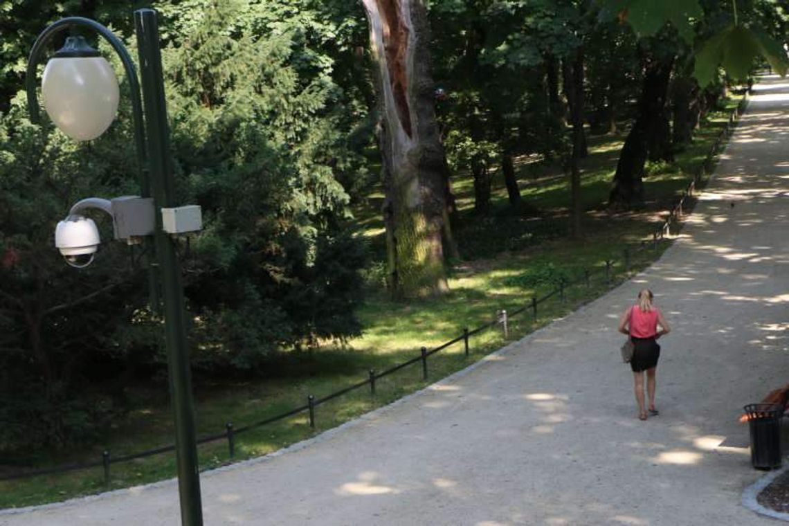 Szli i demolowali Ogród Saski. Świętowali urodziny, wpadli przez monitoring Szli i demolowali Ogród Saski. Świętowali urodziny, wpadli przez monitoring