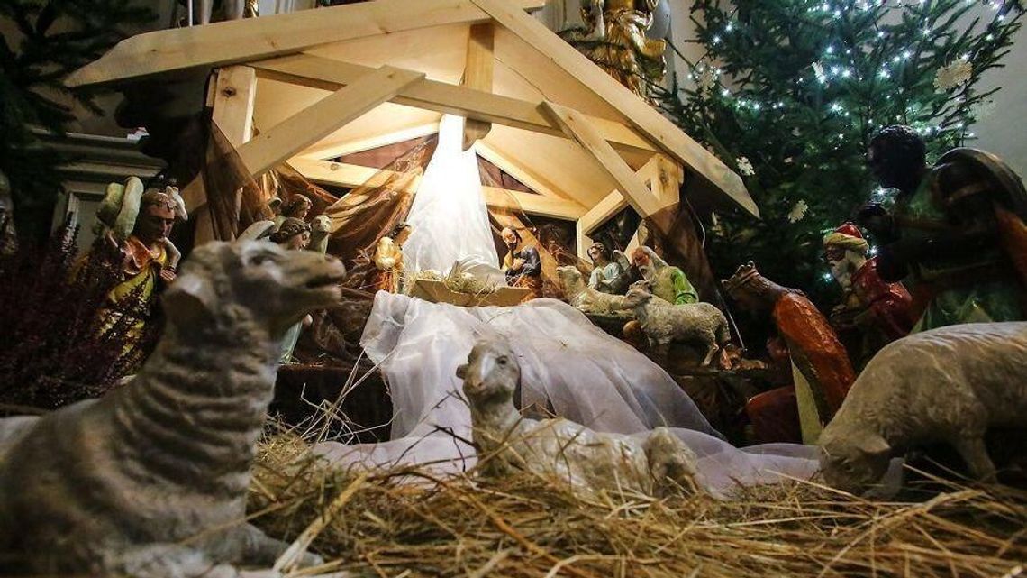 Szopki bożonarodzeniowe w Lublinie. Gdzie warto się wybrać? [zdjęcia]