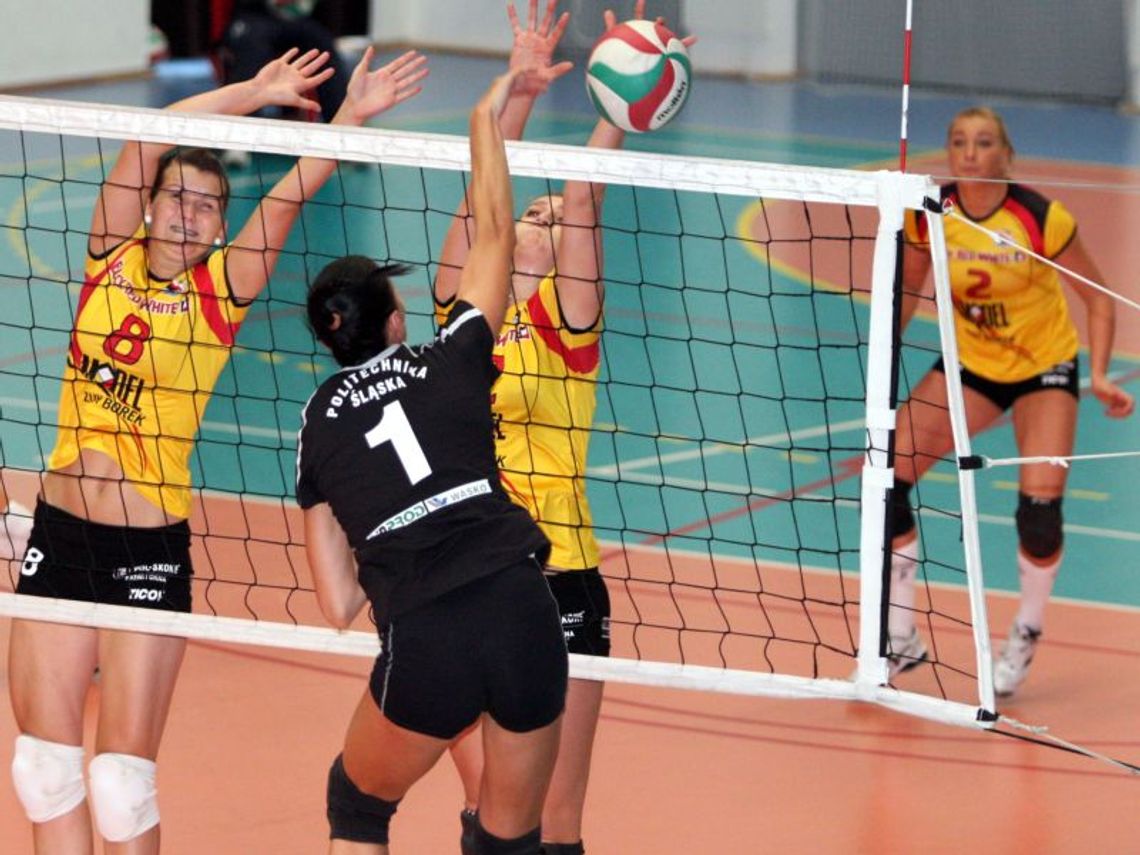 Szóstka Biłgoraj nie zgłosiła się do II ligi siatkarek, Tomasovia oszczędza