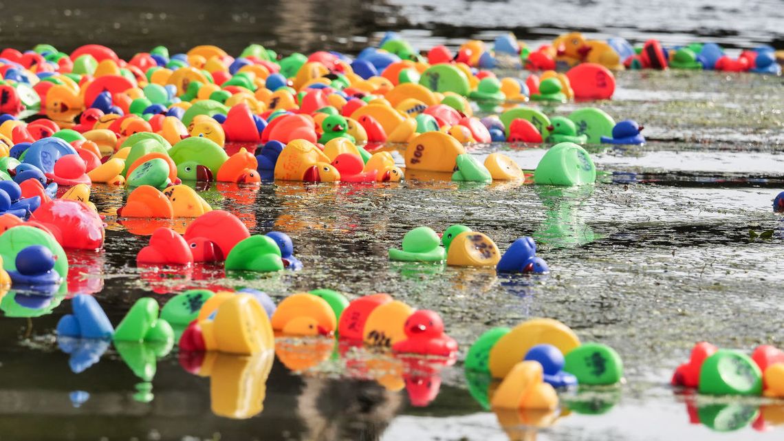 Szósty Lubelski Wyścig Kaczek za nami. Gumowi zawodnicy ścigali się na rzece [zdjęcia]