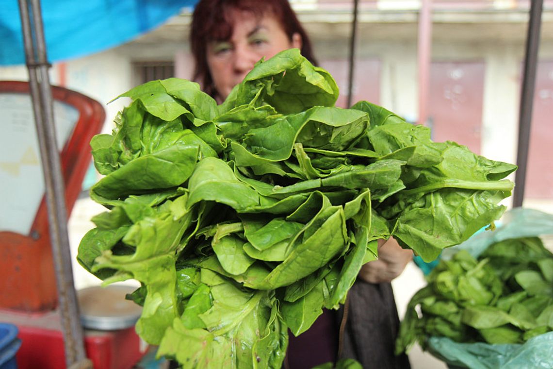 Szpinakowy smak. Przepisy na potrawy ze szpinaku