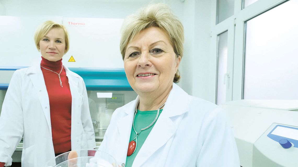 Sztuczna kość z Uniwersytetu Medycznego w Lublinie może zdobyć zagraniczne rynki