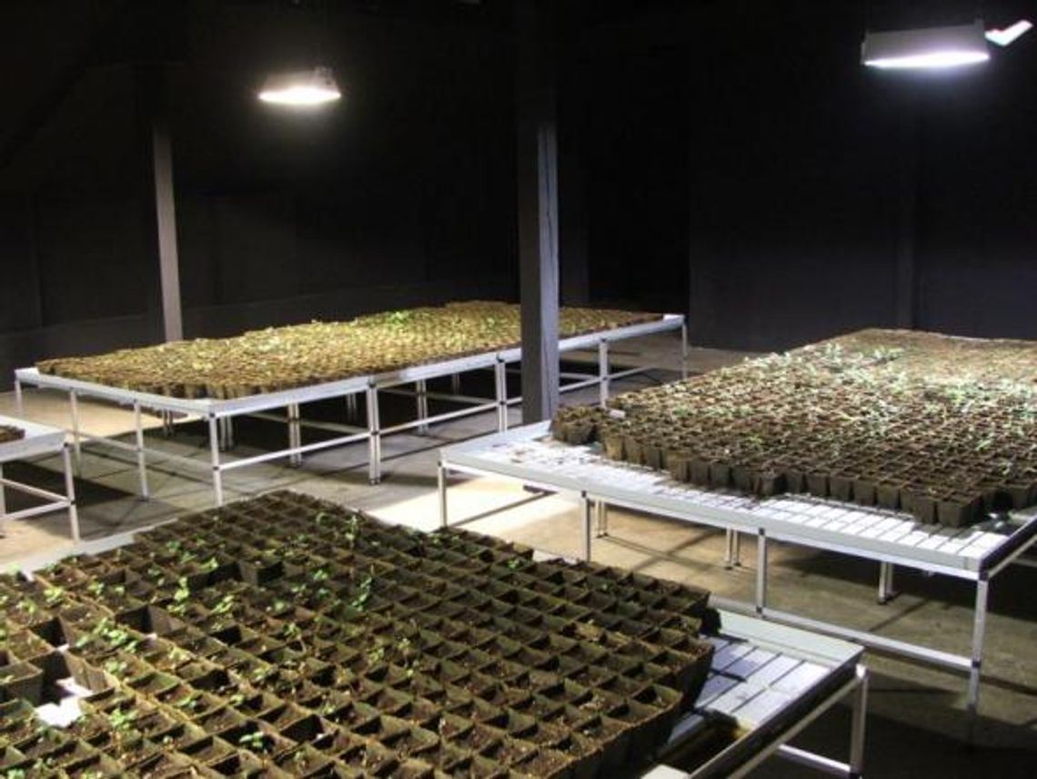 Sztuka w cieniu polityki? - 7. Berlińskie Biennale w Galerii Labirynt