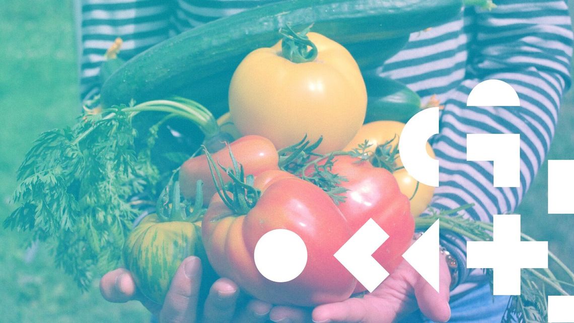 Sztuka Wrażliwości - zajęcia w Warsztatach Kultury