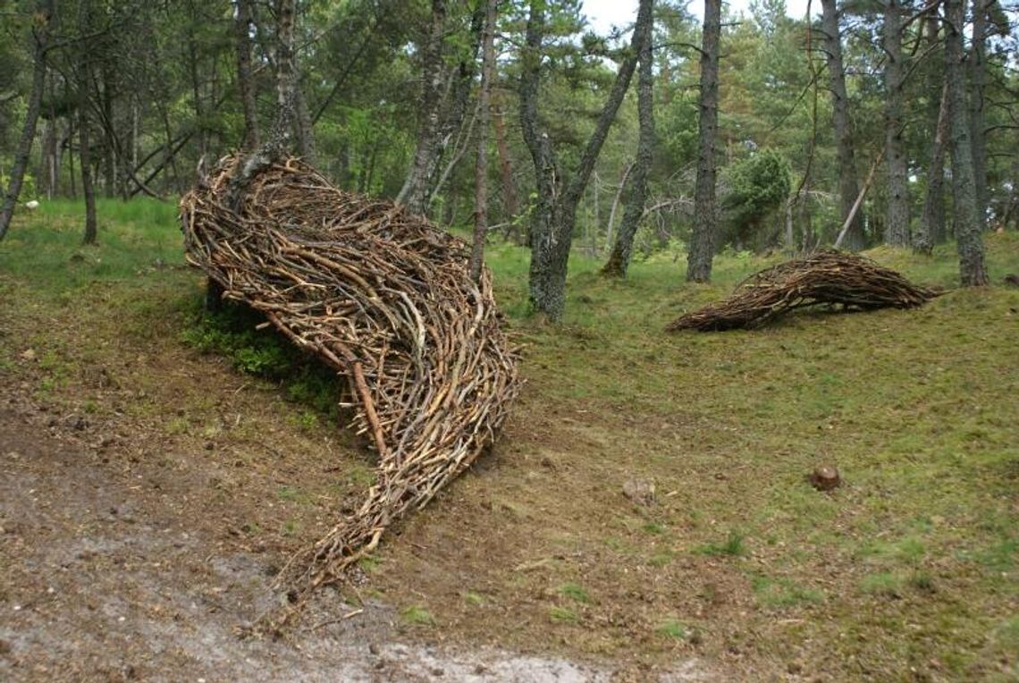 Sztuka ziemi w Kozłówce. Ruszył festiwal land artu