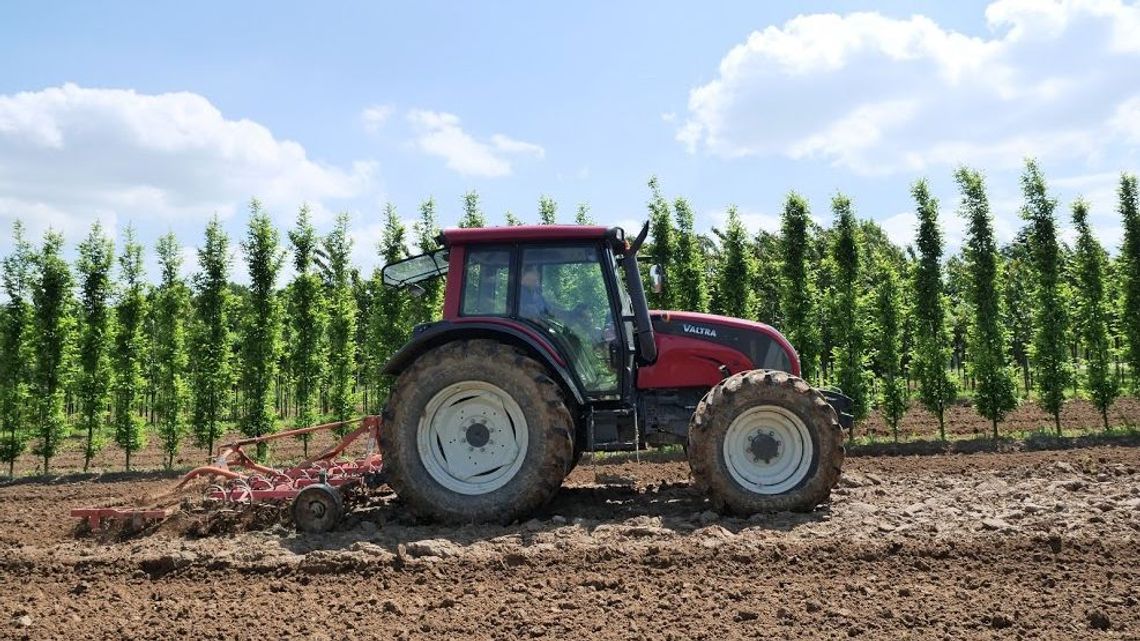 Szukają do pracy przy spisie. 37 zł brutto za każdy wywiad