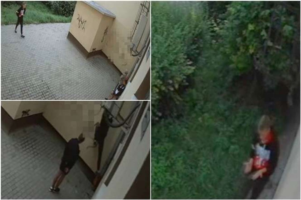 Szukają m.in chłopaka w bluzie z kotwicą Polski Walczącej. Bezmyślny akt wandalizmu Szukają m.in chłopaka w bluzie z kotwicą Polski Walczącej. Bezmyślny akt wandalizmu