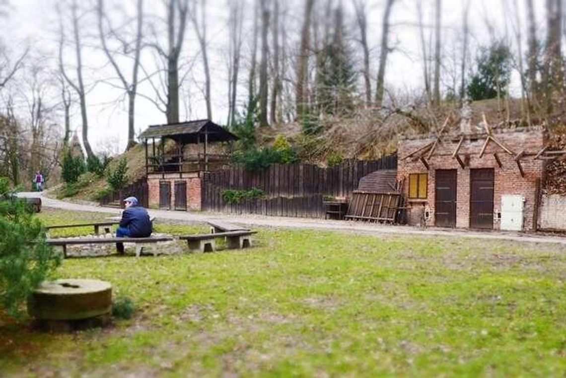 Szukają najemcy dla kawiarenki w Ogrodzie Botanicznym