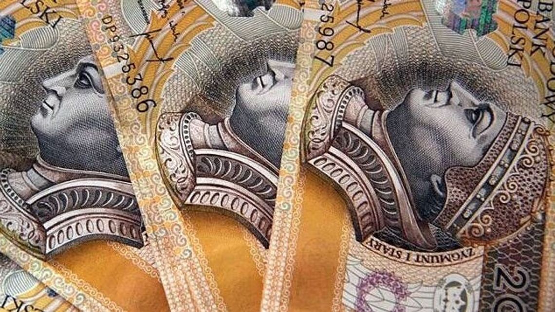 Szukał pracy - trafił na oszustów. Teraz liczy straty