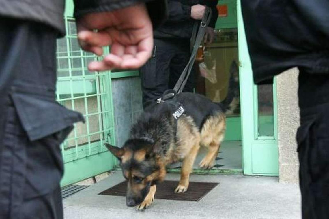 Szukała go nawet specjalna grupa z Warszawy, a on pojechał na Mazury