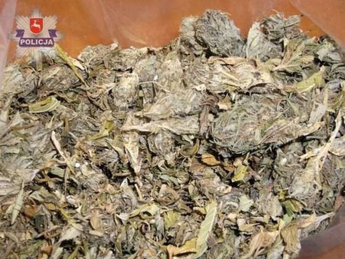 Szukali narkotyków, znaleźli też amunicję