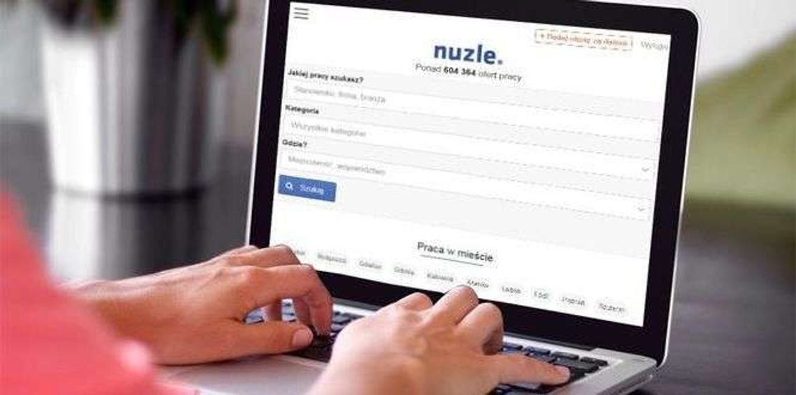 Szukasz pracy lub pracowników? 