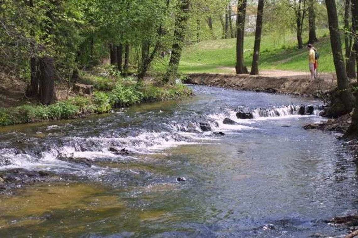 Szumy i Rynek Wielki w Zamościu siódmym cudem Polski?