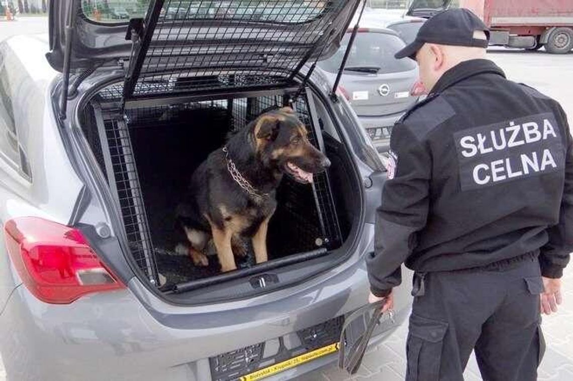 Szwajcarzy uszczelniają naszą wschodnią granicę (zdjęcia)