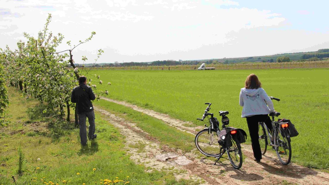 Szykują raj dla cyklistów. Już dziś odkryj rowerem Kraśnik i okolice Szykują raj dla cyklistów. Już dziś odkryj rowerem Kraśnik i okolice
