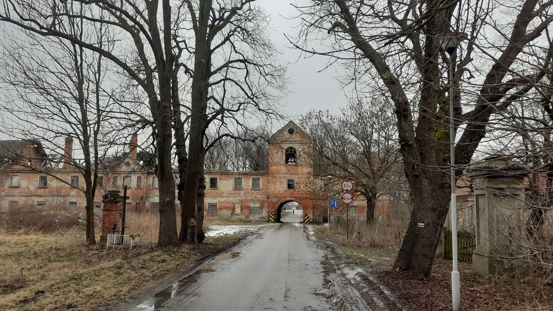 Ta aleja drzew to miejscowa atrakcja turystyczna. Mieszkańcy przeciwko wycince Ta aleja drzew to miejscowa atrakcja turystyczna. Mieszkańcy przeciwko wycince