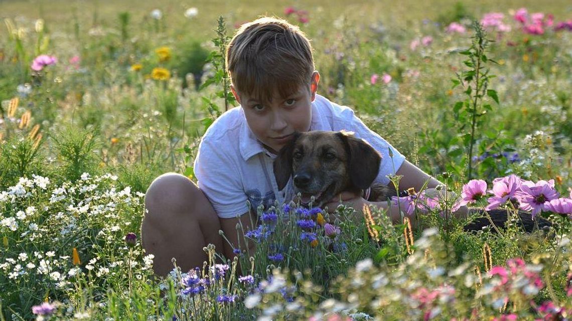 Ta operacja to szansa dla chorego 12-latka z Lublina. Zbiórka się kończy, a pieniędzy brakuje