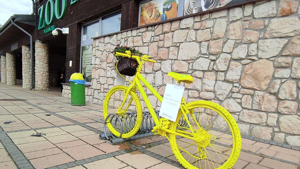 Tajemnicze rowery zaczęły się pojawiać w różnych częściach miasta