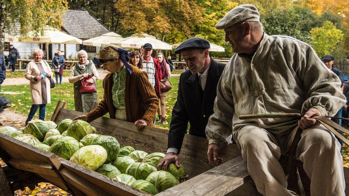 Tak przed laty kisiło się kapustę. Obieraczki kapuściane w skansenie