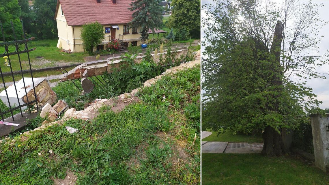 Tak się kończy ogławianie koron. Drzewa wyłamały się i uszkodziły zabytkowe ogrodzenie kościoła
