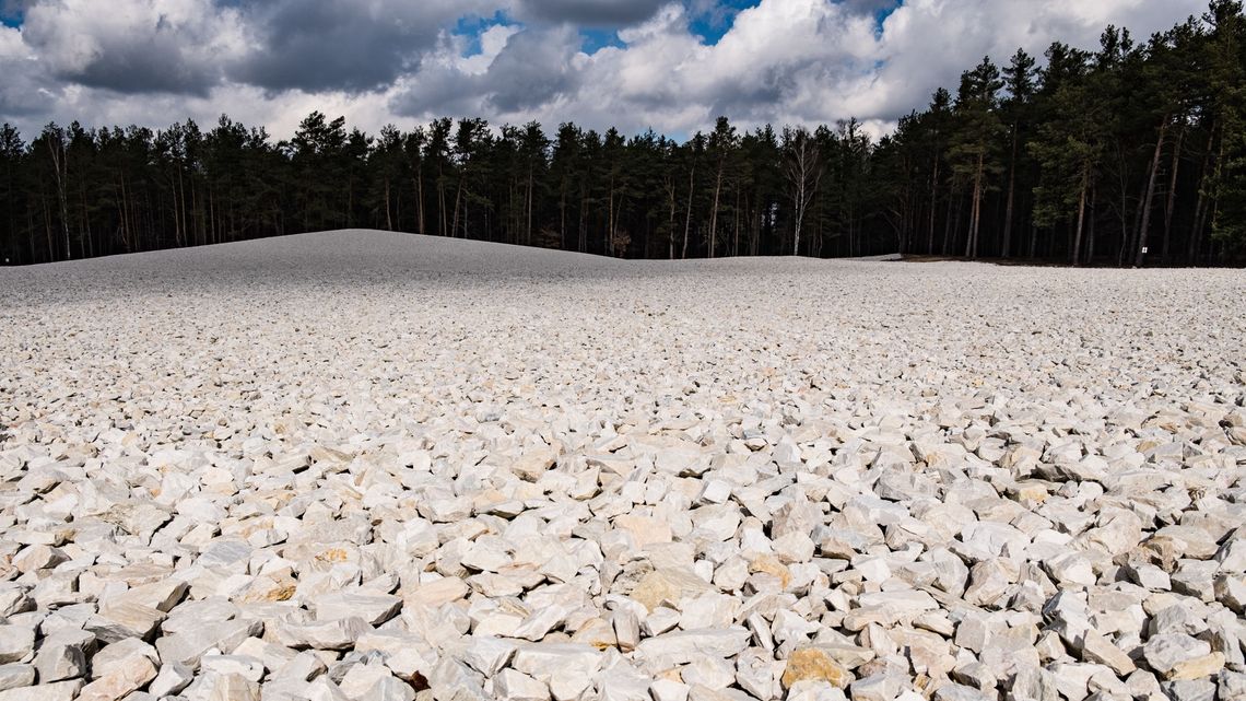 Tak wygląda polana masowych mogił. Powstaje wystawa w Muzeum i Miejscu Pamięci w Sobiborze Tak wygląda polana masowych mogił. Powstaje wystawa w Muzeum i Miejscu Pamięci w Sobiborze