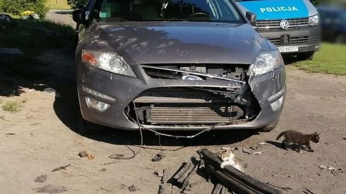 Tak wygląda samochód pogryziony przez psy. A pod maską schował się kot