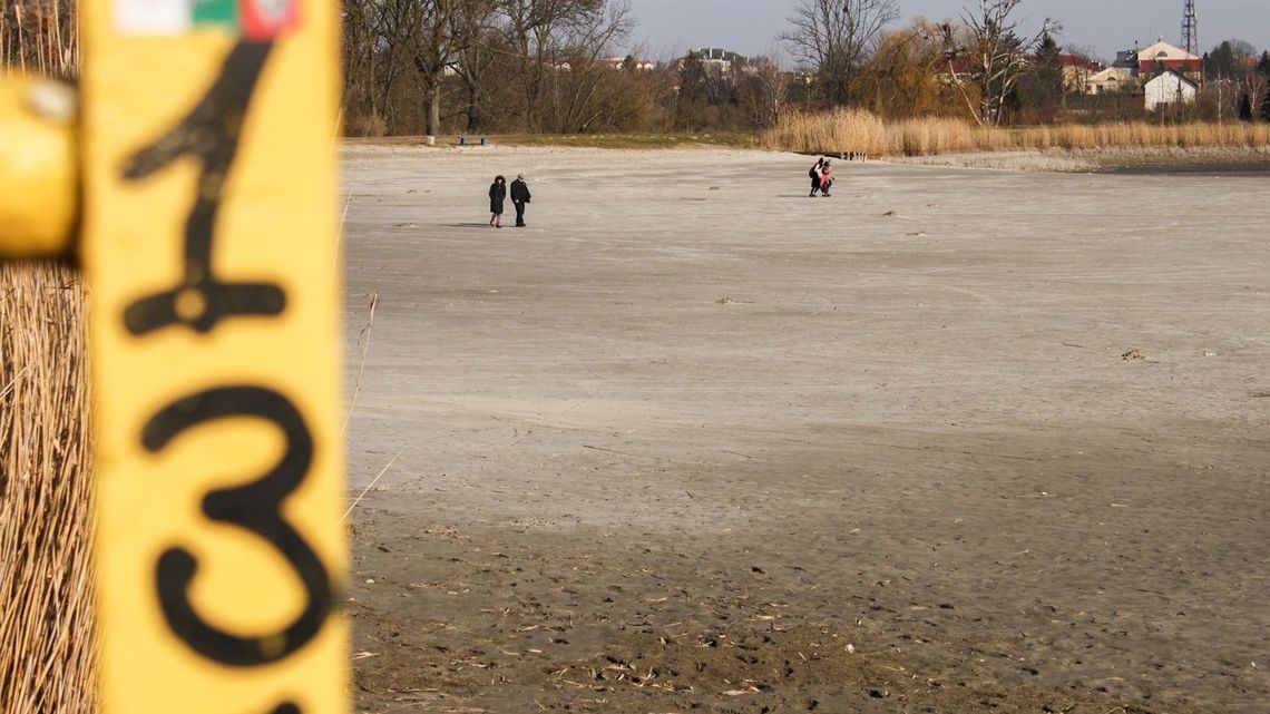 Tak wygląda zalew w Zamościu bez wody. Budują wyspę [zdjęcia]