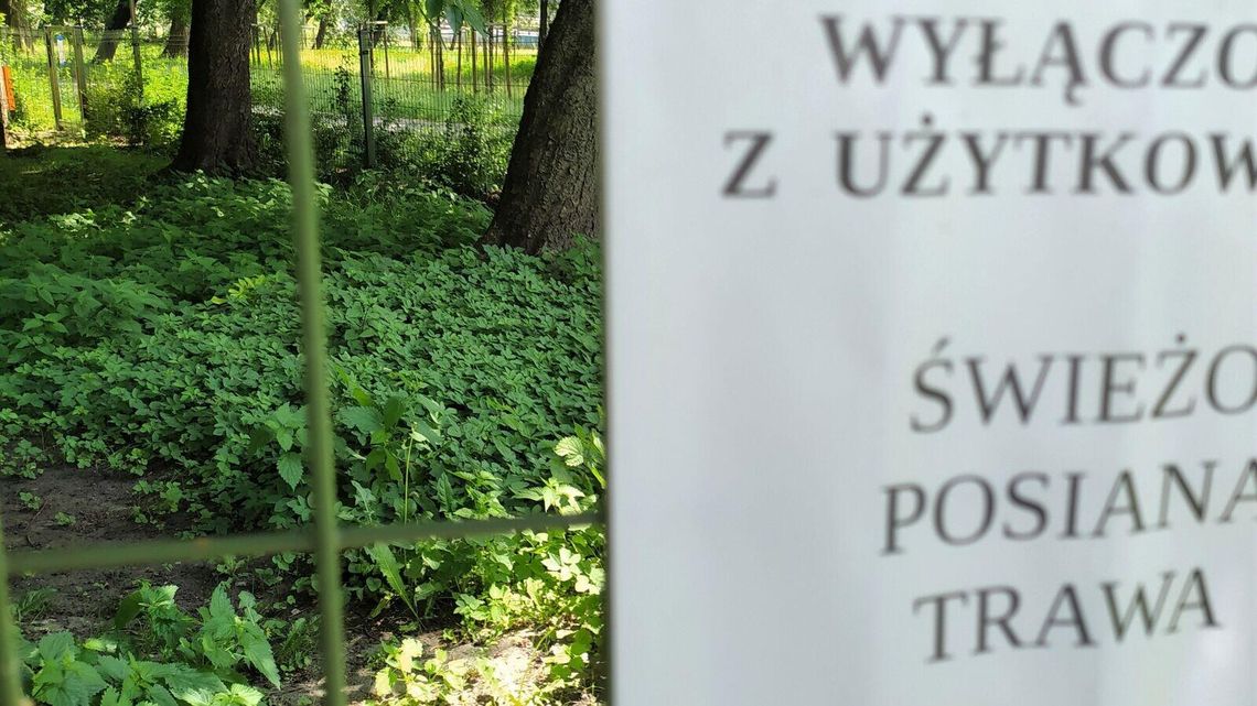 Tak wyglądają prace ogrodnicze. W parku Ludowym wybiegi dla psów nieczynne i zarastają chwastami Tak wyglądają prace ogrodnicze. W parku Ludowym wybiegi dla psów nieczynne i zarastają chwastami
